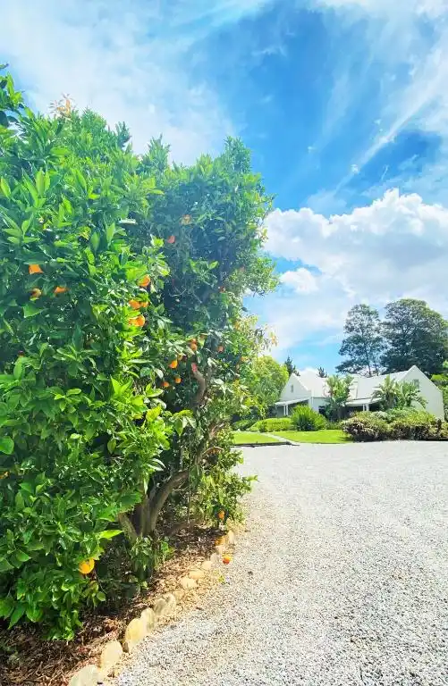 Swellendam Country Lodge