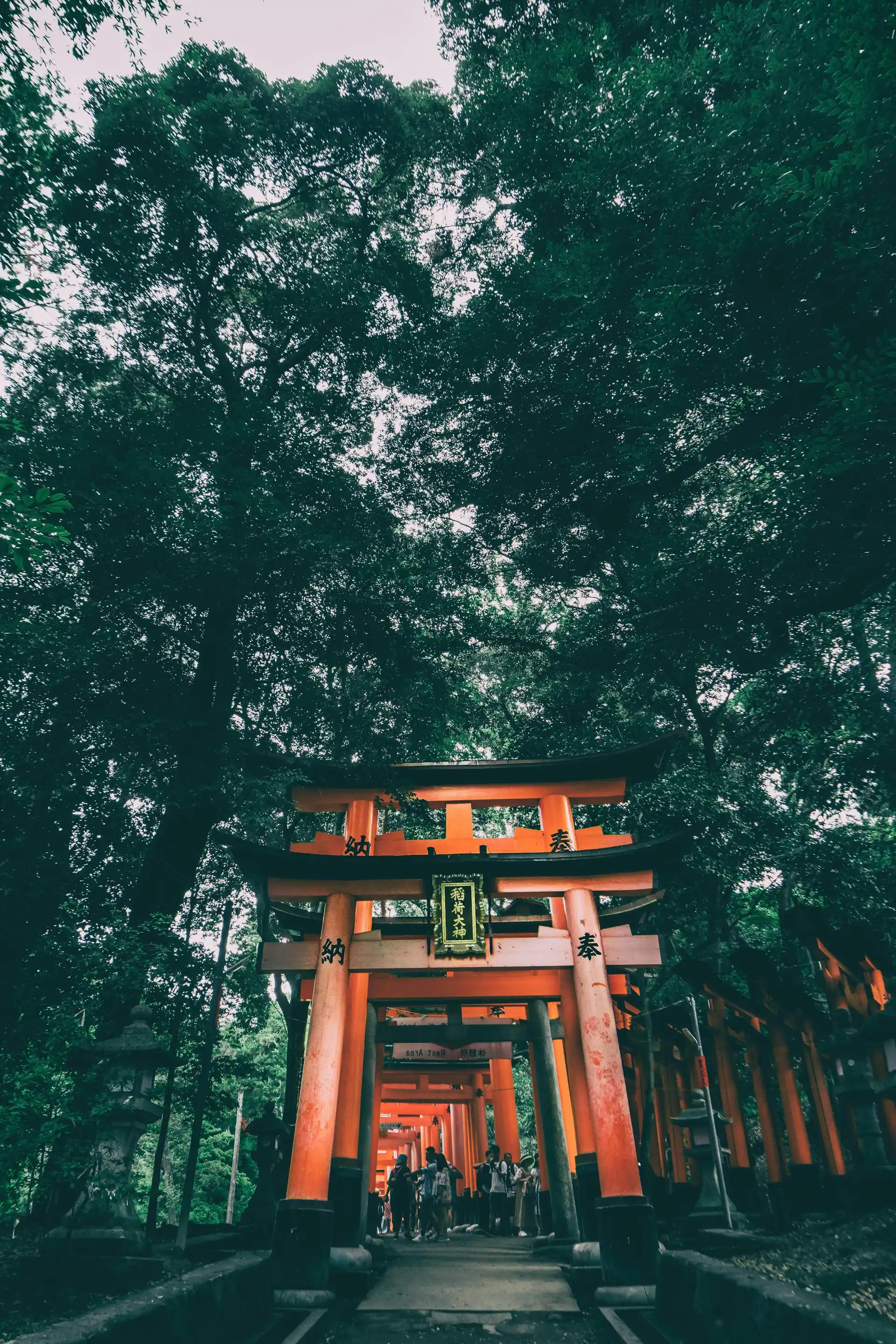 Immersion spirituelle — Fushimi Inari Taisha