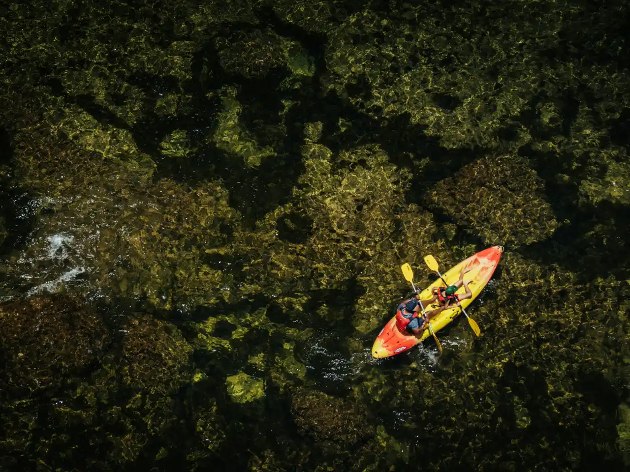 Kayak dans la mangrove