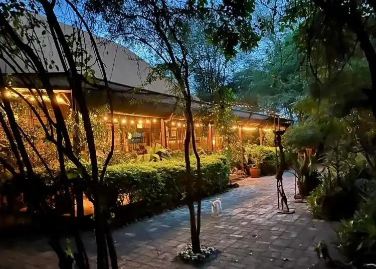 Ikweta Safari Camp, aux portes du Parc National Meru