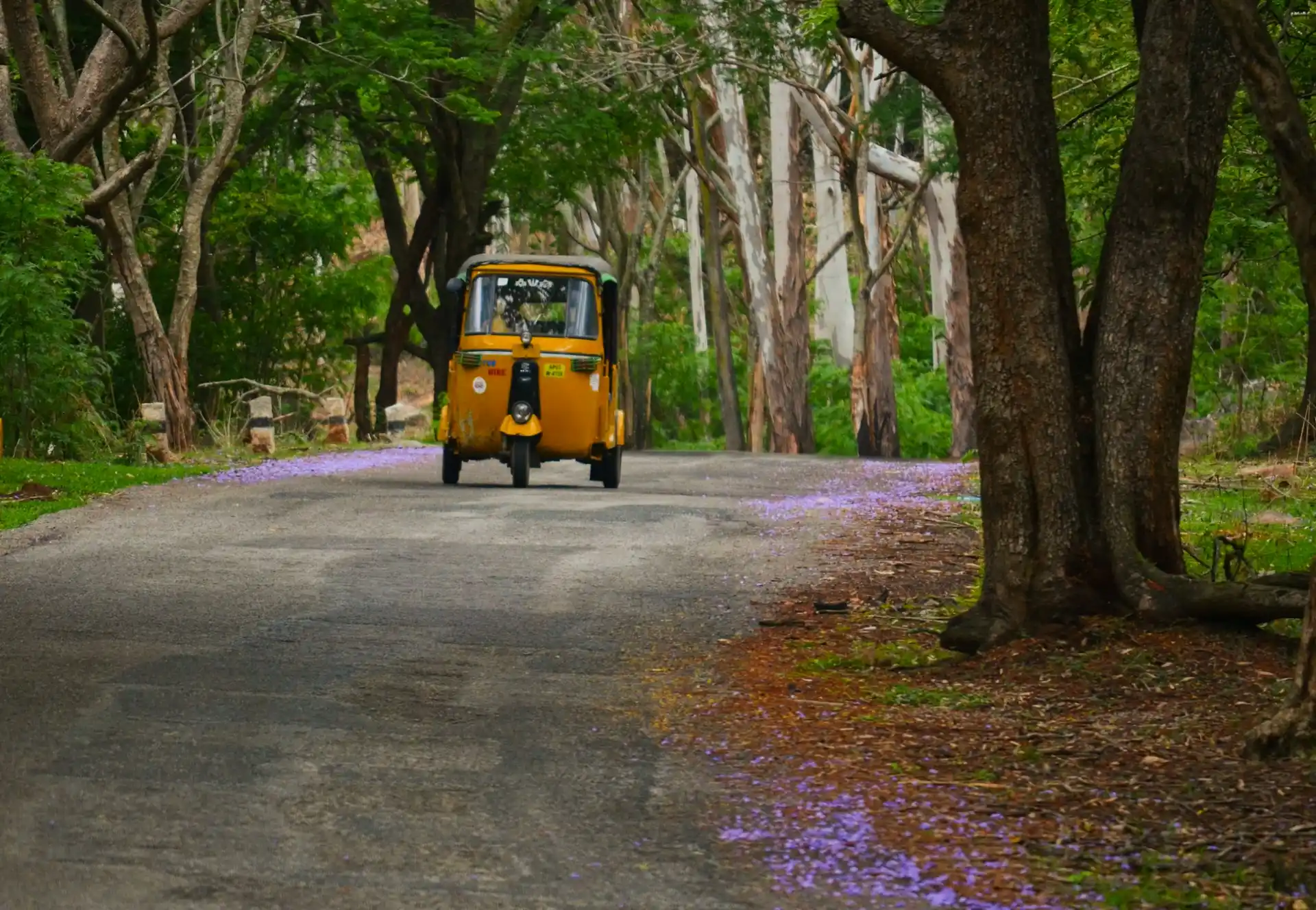 Balade en tuk-tuk