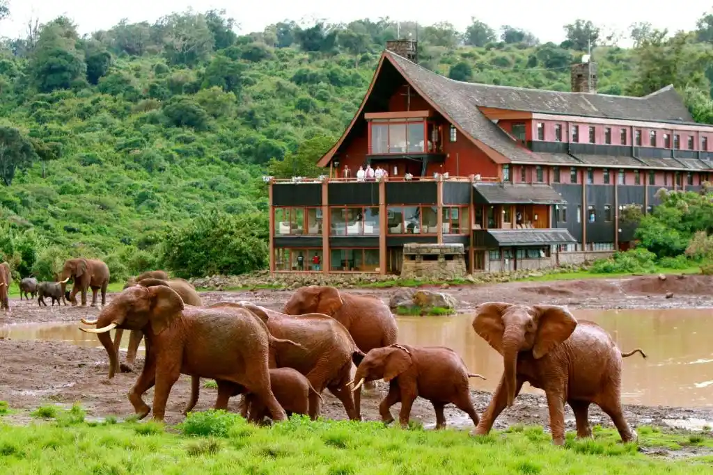 The Ark, dans le Parc des Aberdares