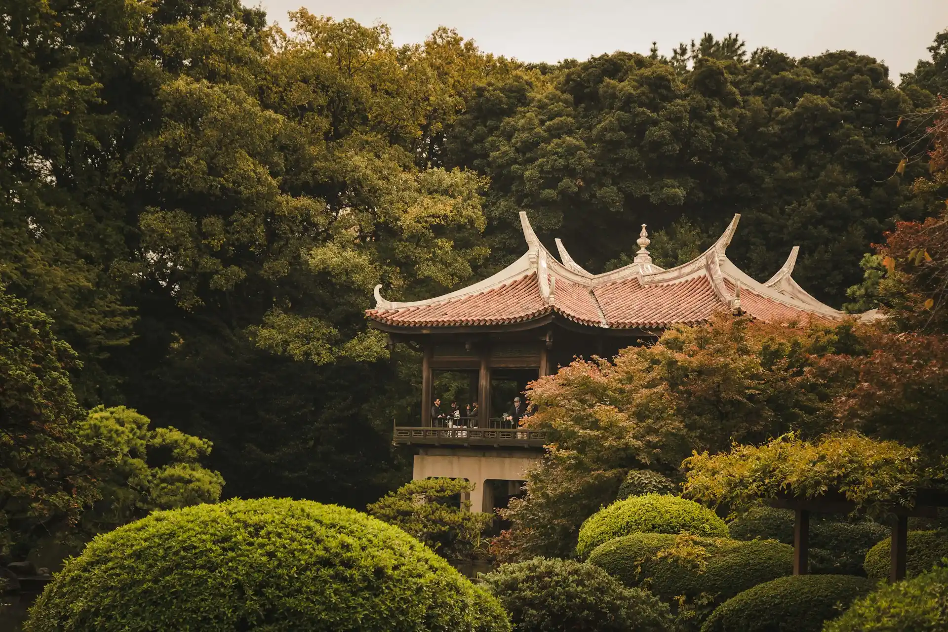 Pause nature au cœur de Tokyo — Shinjuku Gyoen