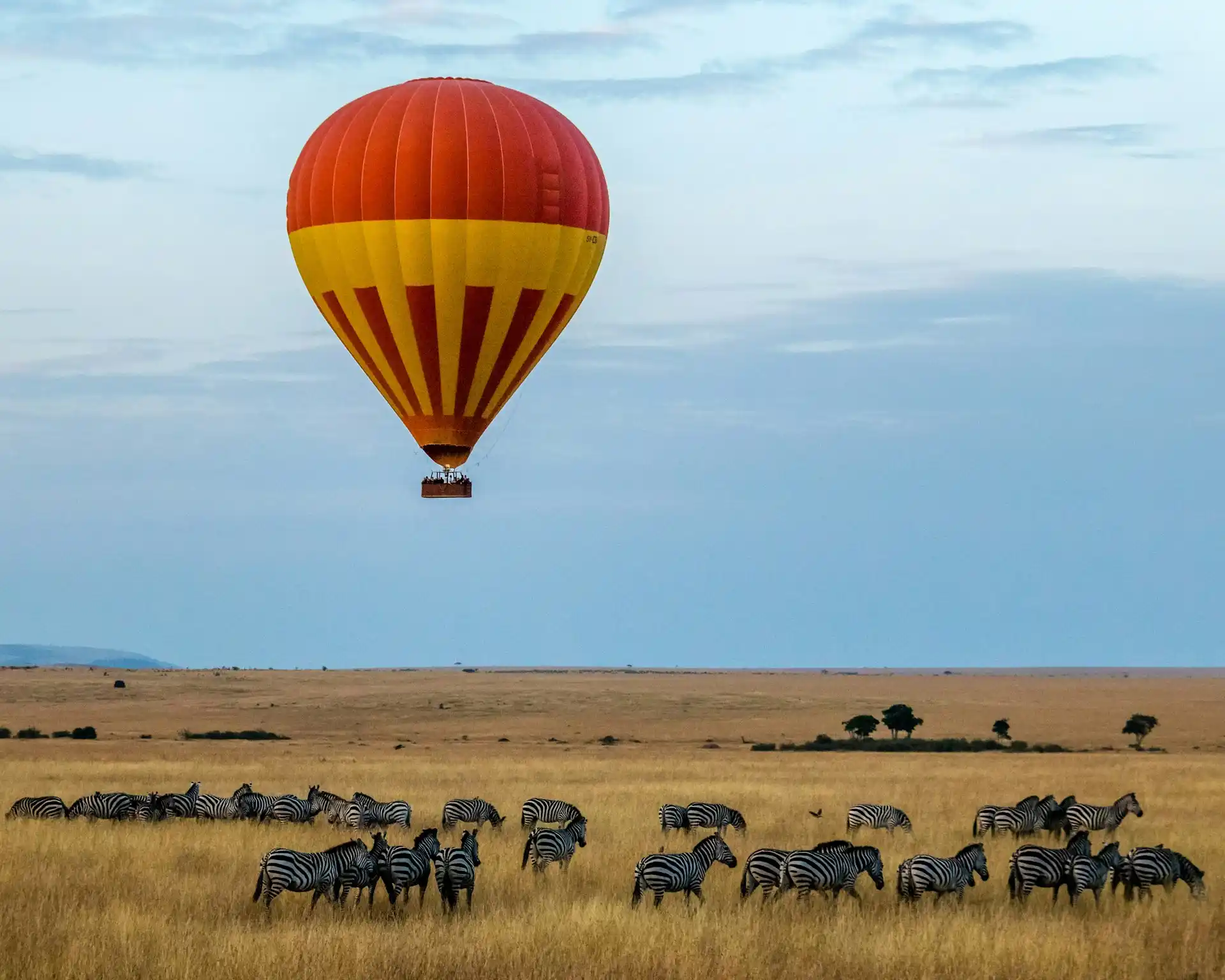 Survol du Serengeti en Montgolière
