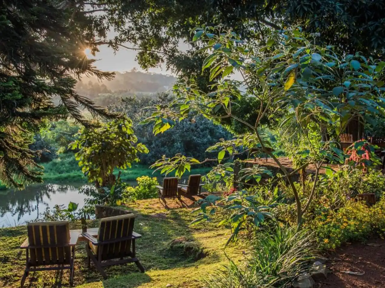 ViaVia Entebbe, petit hôtel en pleine nature